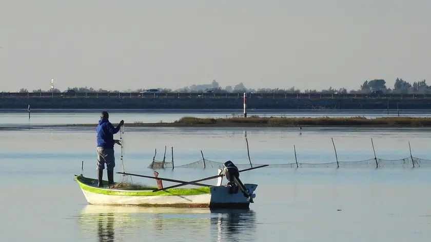 Pesca in laguna