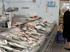 Una signora guarda il banco del pesce al mercato coperto (foto di Katia Bonaventura)