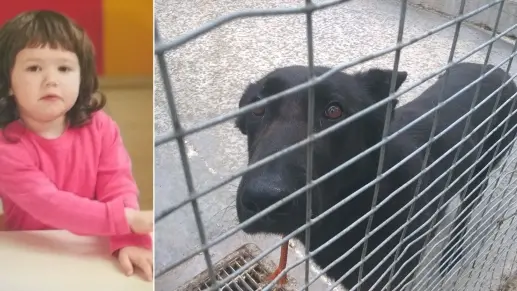 Astrid Guarini, tre anni, e il cane che l'ha uccisa (Foto tratta dal Messaggero Veneto)