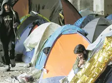 Migranti al silos di Trieste