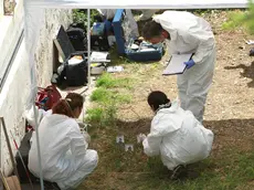 Le indagini dei tecnici nel cortile dell'abitazione di Roberto Garimberti (Bonaventura)