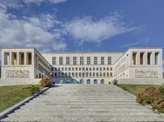 L'Università di Trieste