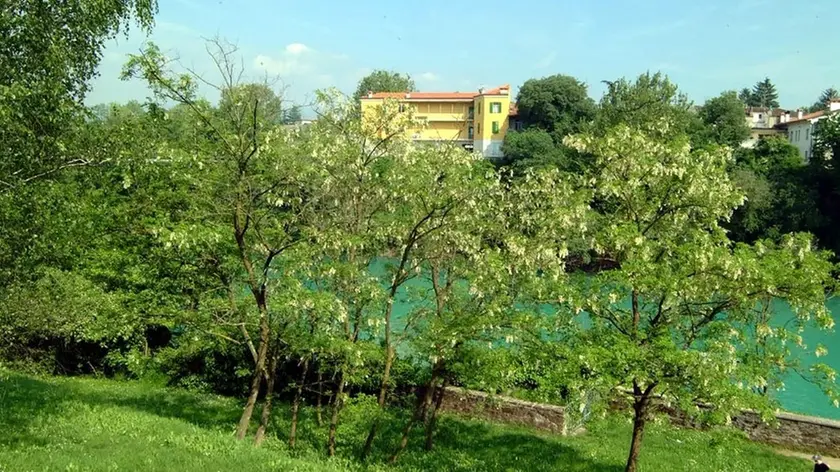 Bumbaca Gorizia Parco Piuma