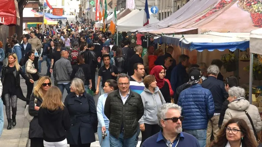 Foto Bruni Trieste 25.04.2019 Mercato di Piazza Europa