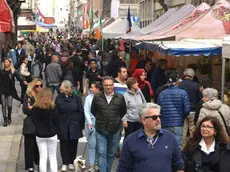 Foto Bruni Trieste 25.04.2019 Mercato di Piazza Europa