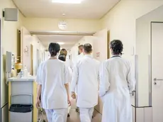 Rear view doctors and nurses walking in hospital corridor. Professional healthcare workers walking together inside the nursing home.