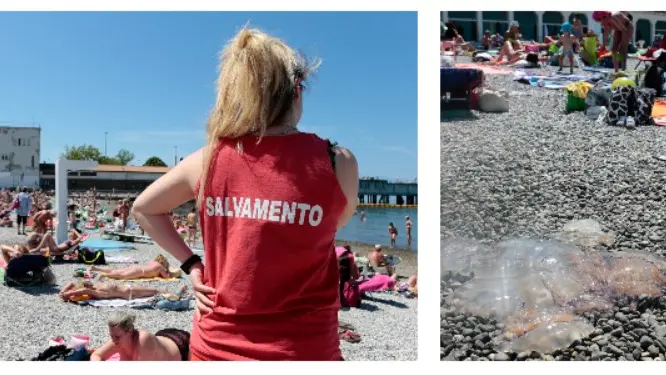 Il pienone al Pedocin e una medusa spiaggiata (Foto Silvano)