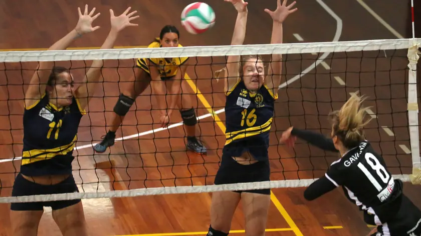 In un’immagine d’archivio una partita di pallavolo disputata nella palestra Cobolli. Foto Andrea Lasort