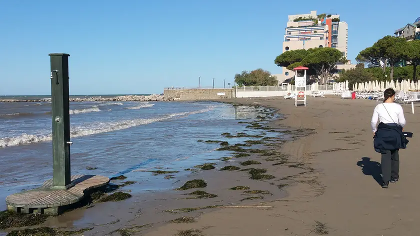 La spiaggia "mangiata" dalla mareggiata a Grado