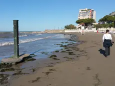 La spiaggia "mangiata" dalla mareggiata a Grado