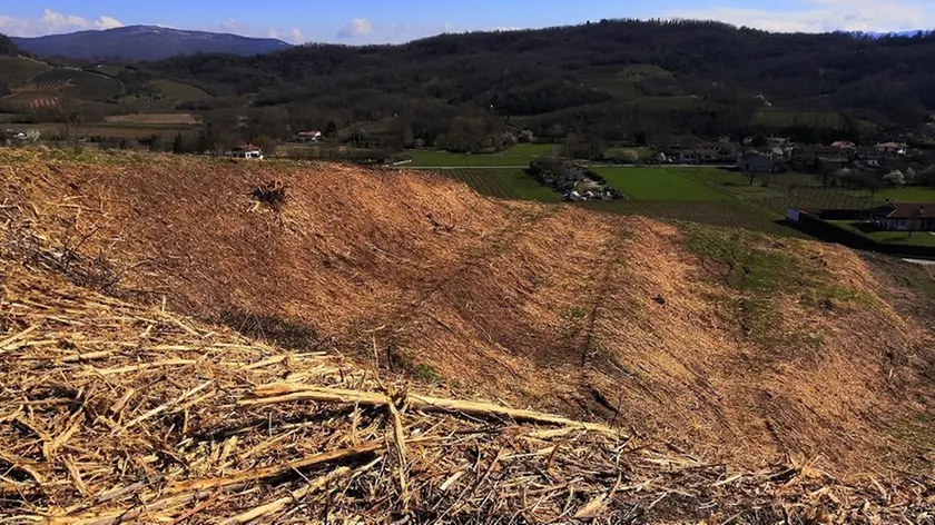 Il colle di Pubrida sbancato dove troveranno posto i nuovi vitigni dell’azienda Attems