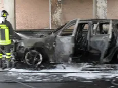 Foto di Luca Perrino