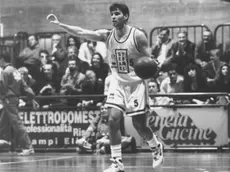 Nando Gentile