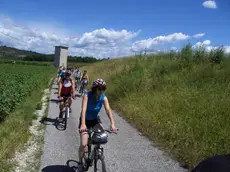 GorizianiInbici tra colli e corsi d'acqua