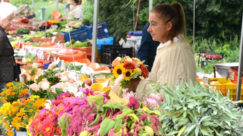 Foto Bruni 19.07.2017 Bancarelle frutta in S.Antantonio