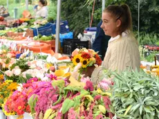 Foto Bruni 19.07.2017 Bancarelle frutta in S.Antantonio