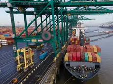 epa08986757 A container ship is unloaded at Antwerp Harbour, in Antwerp, Belgium, 04 February 2021. Due to the coronavirus pandemic, the average price for a container has almost quadrupled in a year. Global trade flows slowed down as a result, and shipping companies reduced their capacity. A lot of containers are now in Europe and not available in Asia. Antwerp is the second larges port of importation in Europe, after Rotterdam by total freight shipped. EPA/OLIVIER HOSLET