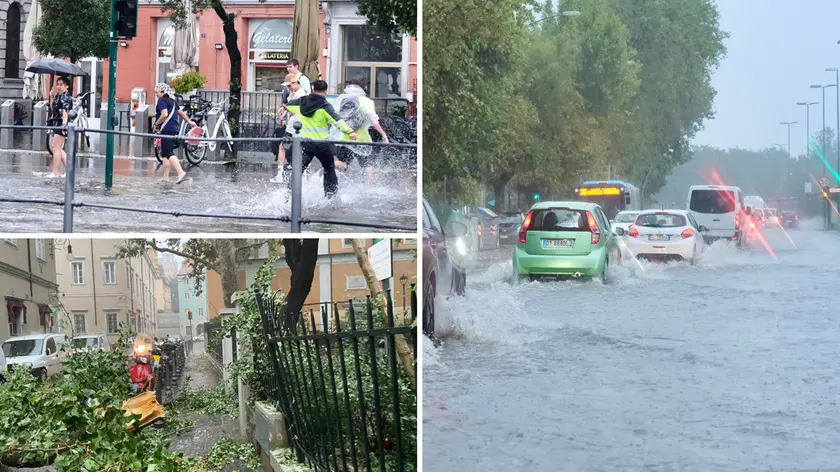 Strade allagate e alberi caduti a Trieste (Silvano)