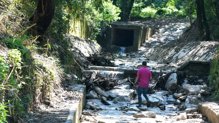 Nelle foto di Francesco Bruni dedicate all’intervento di risanamento del torrente Farneto (Rio Grande) nella zona di Rotonda boschetto