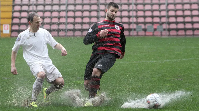 Lasorte Trieste 14/02/16 - Serie D, Triestina- Fontanafredda