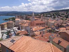 sterle muggia