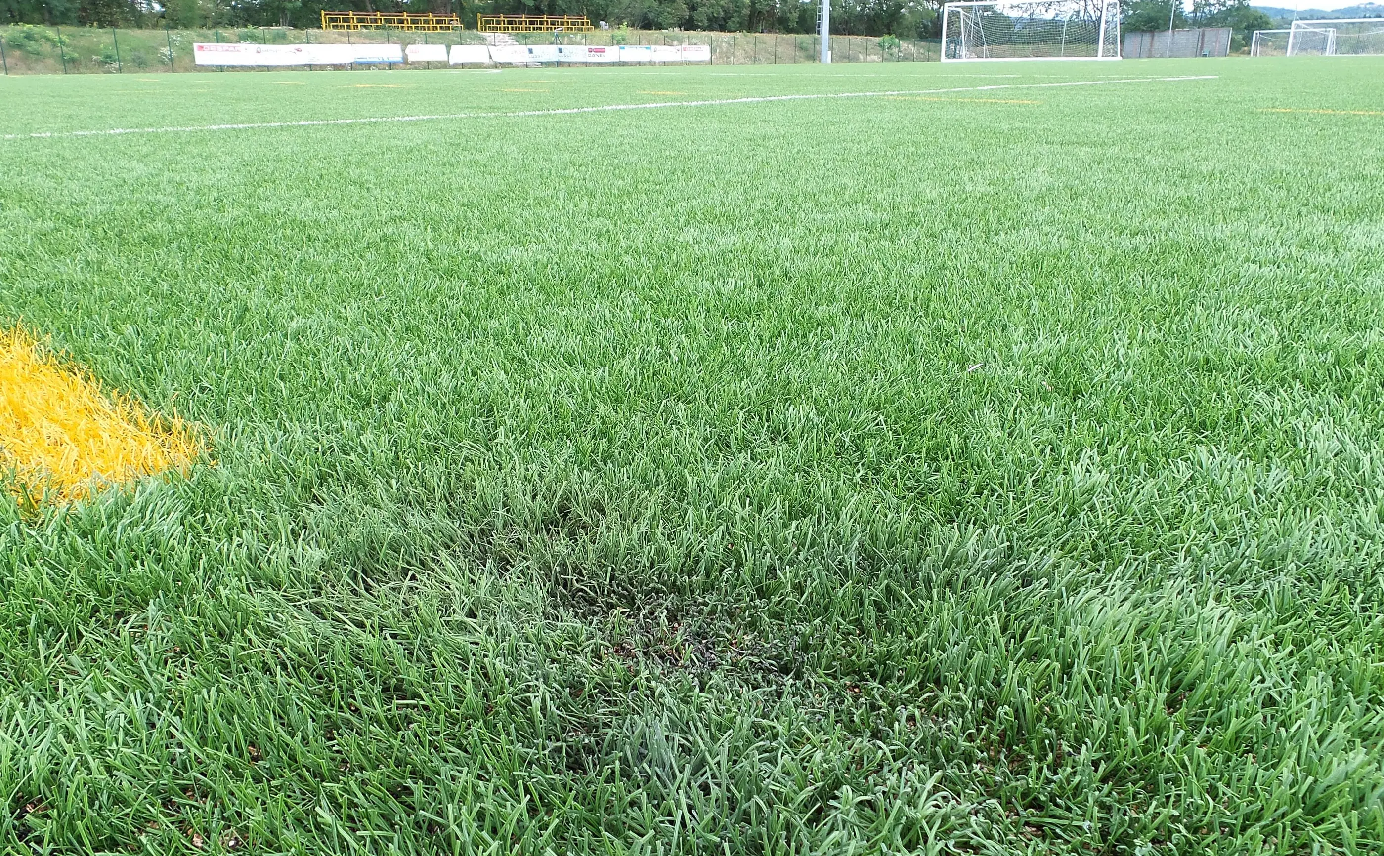 Il campo bruciato dal lancio di un petardo (Lasorte)