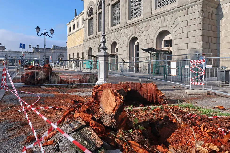 Lasorte Trieste 09/11/18 - Piazza Libertà, Silos, Sala Tripcovich, Lavori