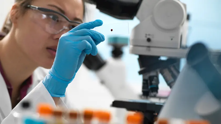 Scientist viewing human sample on glass slide before placing under microscope in laboratory