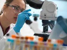 Scientist viewing human sample on glass slide before placing under microscope in laboratory