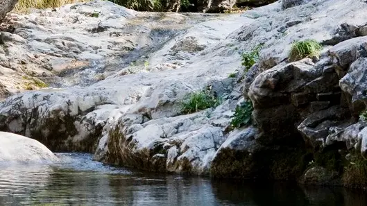 Silvano Trieste 18/09/2012 Val Rosandra, il letto del fiume