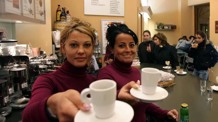sterle trieste caffè paesi del caffè x baldassi salvare