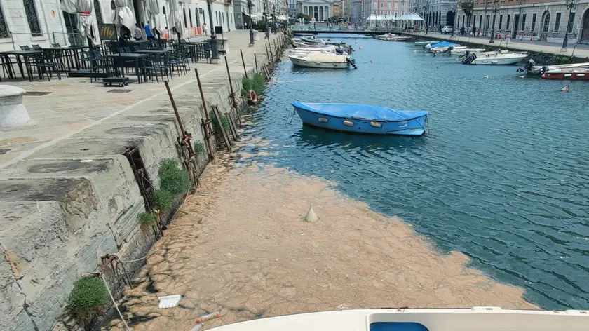 Canale di Ponterosso diviso a metà fra acqua limpida e il limo che, nonostante la prima bora, resiste al fianco delle piccole barche Foto Andrea Lasorte