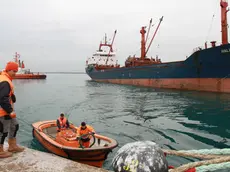 Attività a Portorosega dove è avvenuto lo sversamento in mare (Foto Bonaventura)