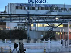 Lasorte Trieste 30/01/19 - Duino, Cartiera Burgo