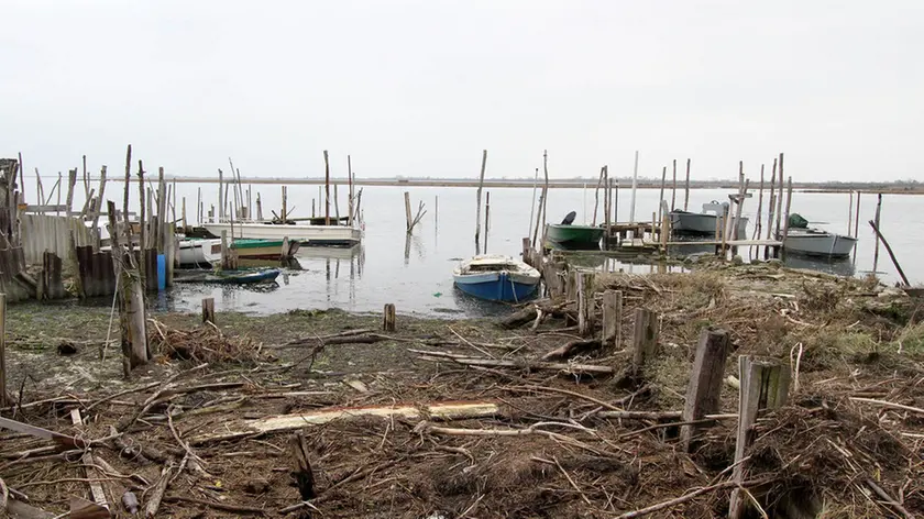 Bonaventura Monfalcone-31.01.2013 Casoni-Punta Barene-Staranzano-foto di Katia Bonaventura