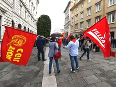 La manifestazione per il futuro della Ferriera (Bruni)