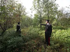 Lasorte Trieste 17/10/12 - Bosco Prosecco Stazione, Carabinieri