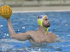 Ivan Buljubasic, talento croato della Pallanuoto Trieste