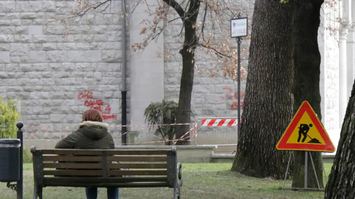 Bonaventura Monfalcone-09.03.2018 Pini d'Aleppo che verranno tagliati-Giardini Unicef-Monfalcone-foto di Katia Bonaventura