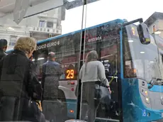 Lasorte Trieste 04/10/17 - Autobus, Bus, Passeggeri