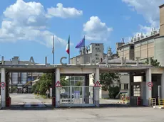 L'ingresso allo stabilimento triestino Italcementi in via Caboto (Bruni)