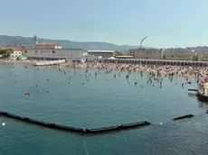 Il "Pedocin"