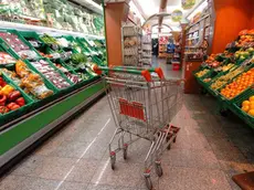 Un supermercato al centro di Roma in una foto di archivio. I prezzi del cosiddetto 'carrello della spesa', ovvero dei prodotti ad alta frequenza d'acquisto (dal cibo ai carburanti), a ottobre salgono dello 0,7% su base annua, azzerando lo 'spread' con il tasso d'inflazione e frenando rispetto a settembre (+1%). Lo rileva l'Istat nelle stime. E' il livello più basso da quattro anni (ottobre 2009). MARIO DE RENZIS / ANSA