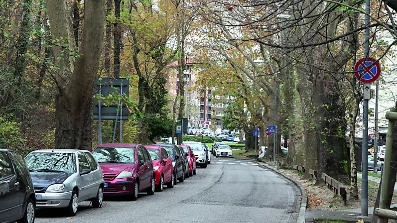 La zona di viale al Cacciatore in cui lo scorso 18 novembre si era verificato l’investimento Foto Andrea Lasorte