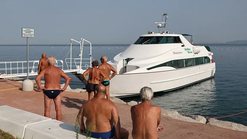 Anche questa estate il Delfino Verde torna a Boa Beach