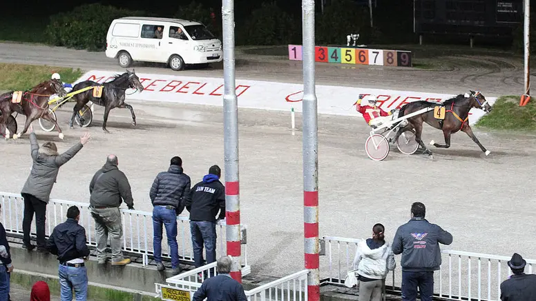 Lasorte Trieste 30/11/14 - Ippodromo di Montebello, Gran Premio Regione FVG