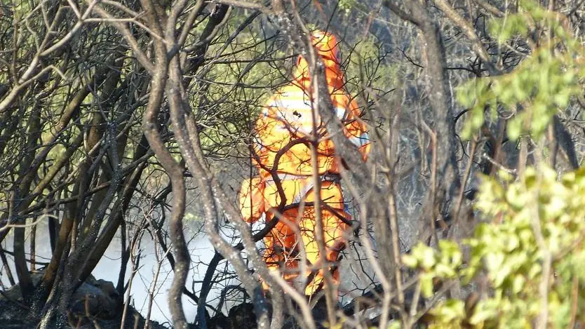 Bumbaca Gorizia 24_07_2019 Incendio sul Carso tra Cippo Corridoni e Cippo Brigata Sassari © Fotografia di Pierluigi Bumbaca