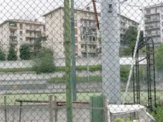 Silvano Trieste 11/05/2017 Campo Sportivo Giorgio Ferrini