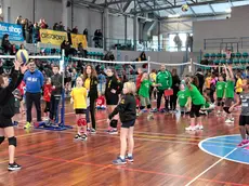 Silvano Trieste 17/12/2017 Il minivolley