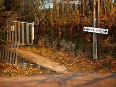 Via Montebello e cavalcavia, zona dove sarebbe avvenuto lo stupro